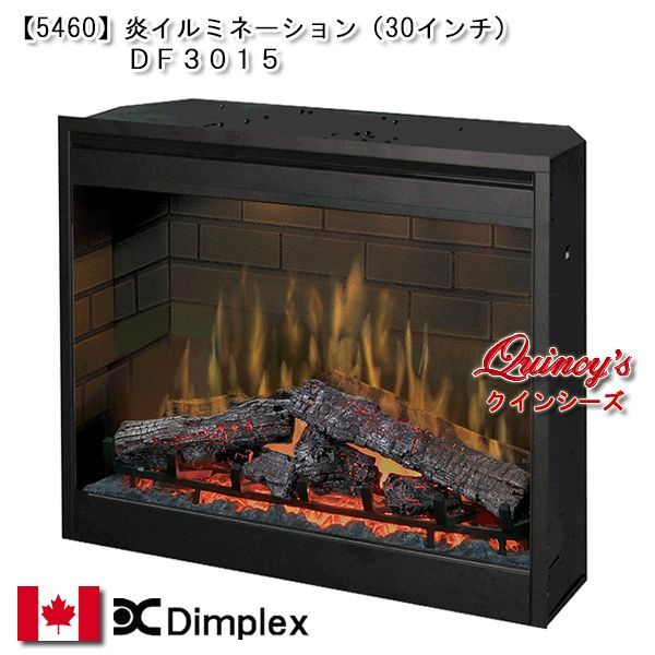5460】 最安値！ ディンプレックス社 炎イルミネーション（埋め込み式
