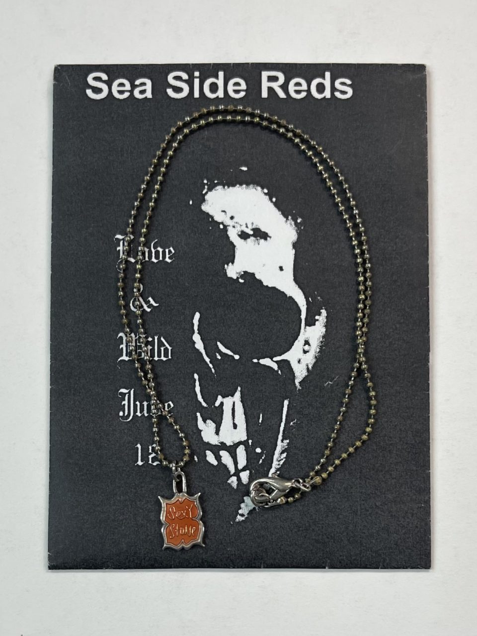浅井健一 シルバー・ネックレス Sea Side Reds Sexy stones SILVER