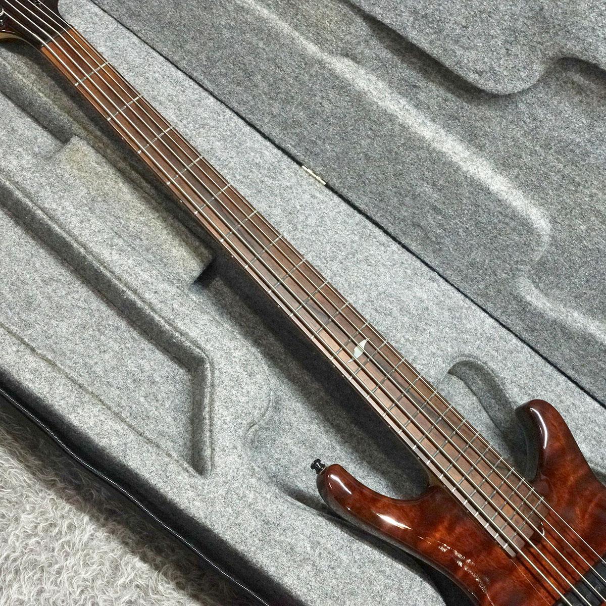 ベース roscoe LG3005 Roscoe LG3005 ”Spalted Burl Maple” <ロスコー>｜平野楽器 ロッキン