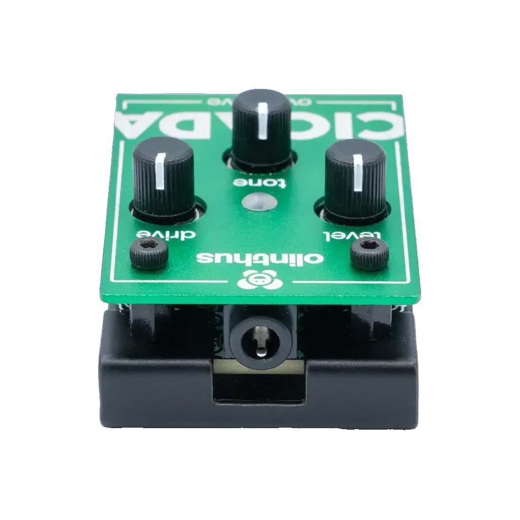 olinthus CICADA overdrive｜平野楽器 ロッキン オンラインストア