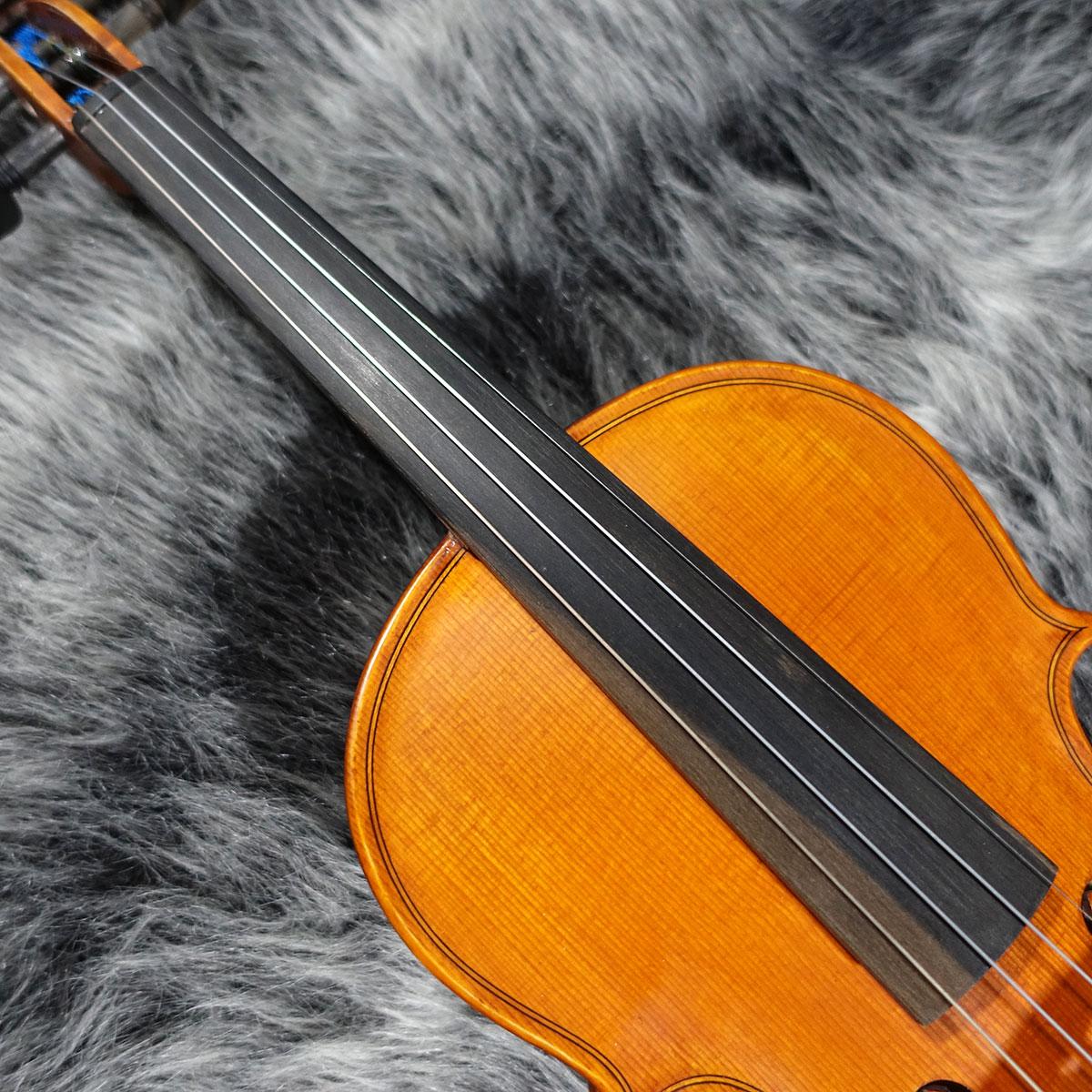 Gliga Gems 4/4 バイオリン Gliga Gems Violin 4/4 <グリガ>｜平野楽器 ロッキン オンラインストア