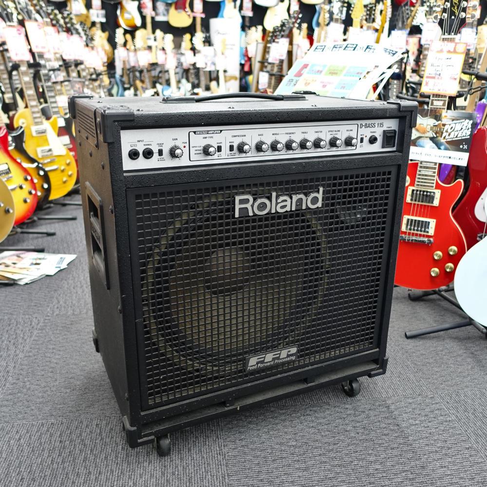 Roland d-bass 115 ベースアンプ Roland - D-BASS 115X | Powered Speaker