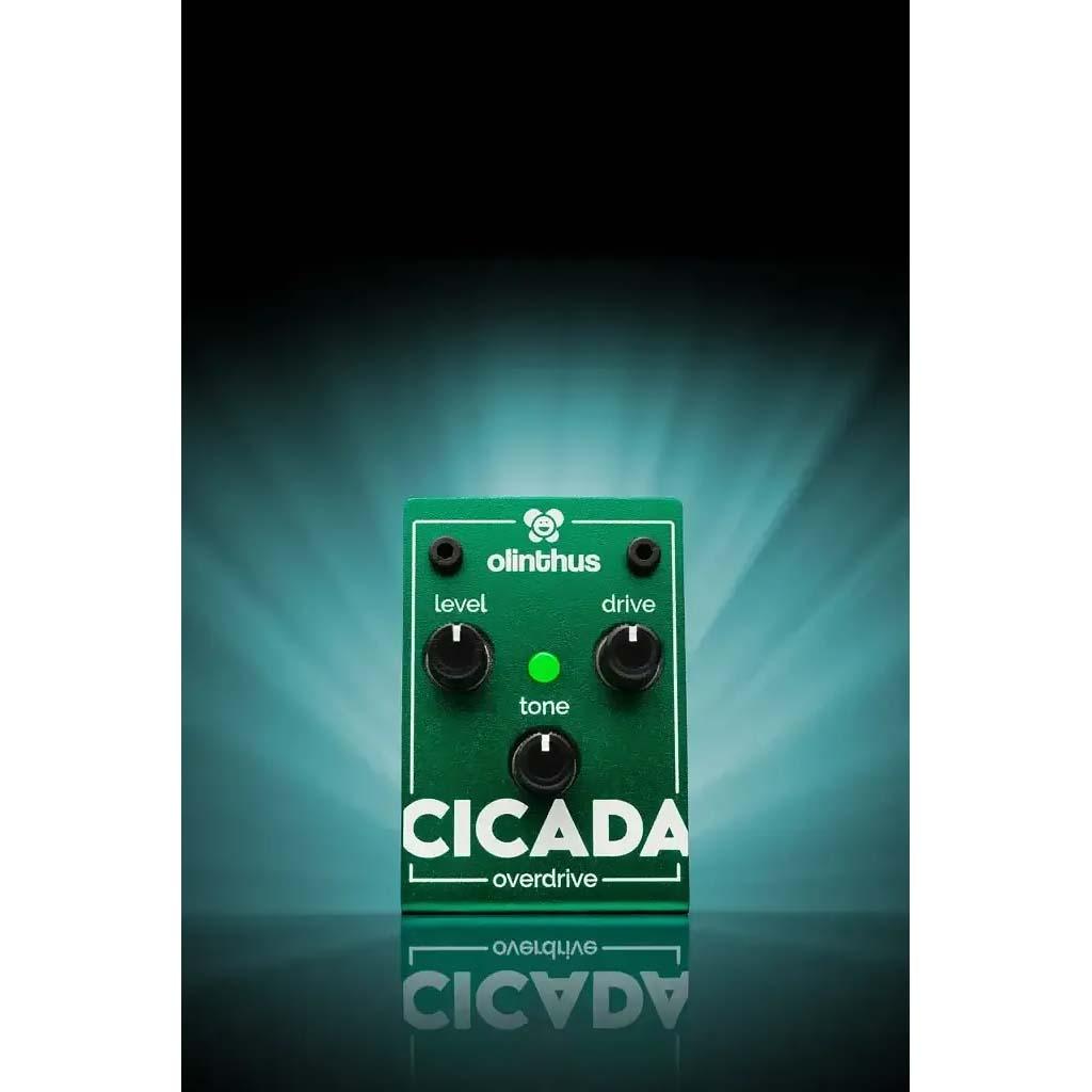 olinthus CICADA overdrive｜平野楽器 ロッキン オンラインストア