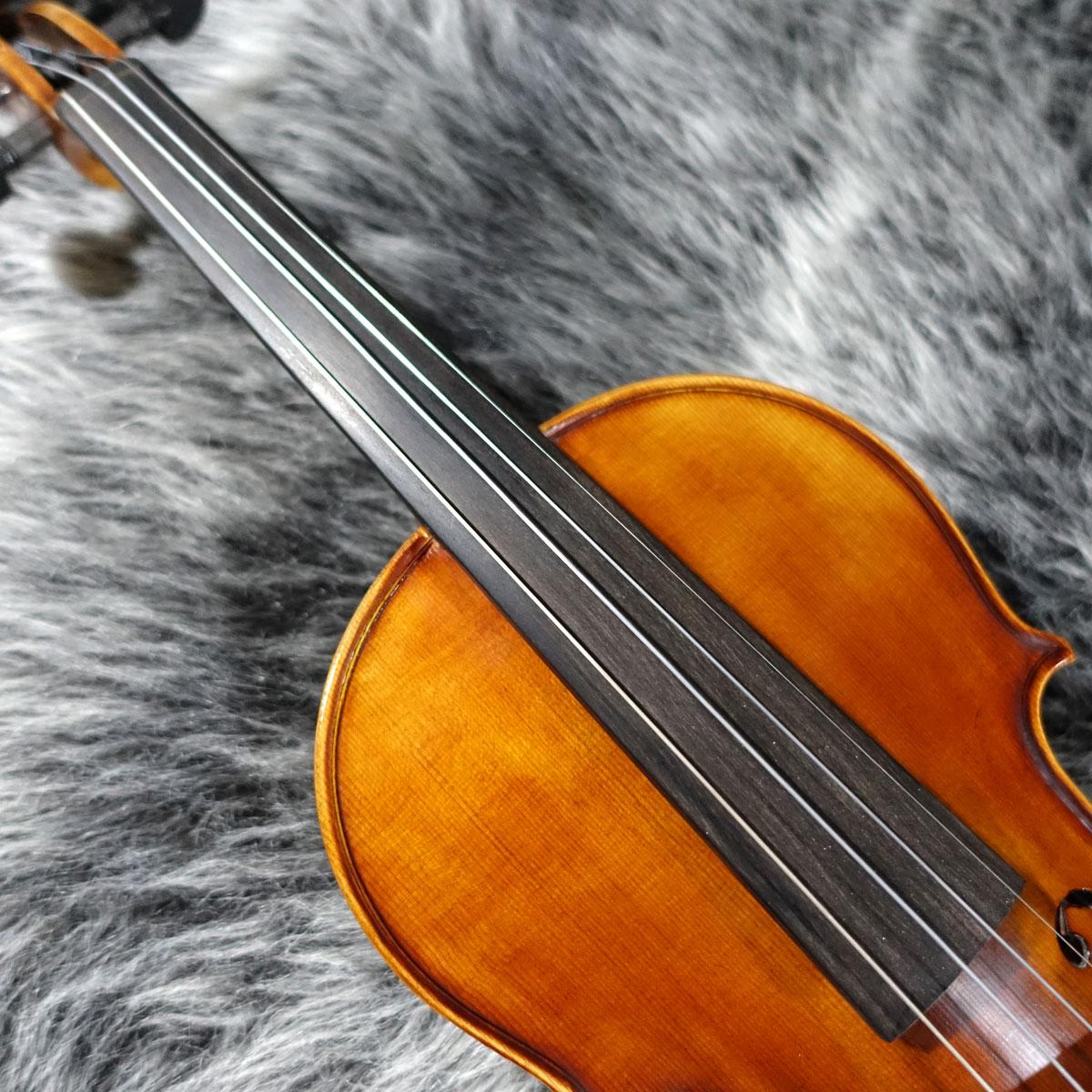 David Gage RV4PE-W SUGIZOモデル David Gage RV4PE-W SUGIZOモデル