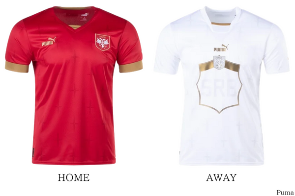 サッカー セルビア代表【カタールW杯2022出場メンバー