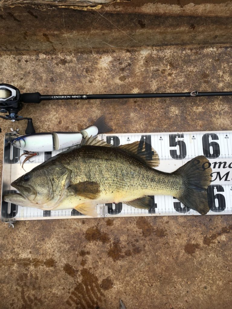 Mother Triple - RomanMade【ロマンメイド】