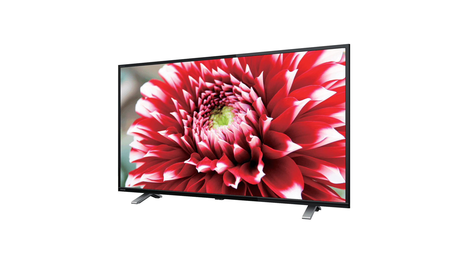TOSHIBA REGZA テレビ 2021年製32V34 TOSHIBA（東芝） REGZA 32V34 32V型 ハイビジョンLED液晶テレビ : D