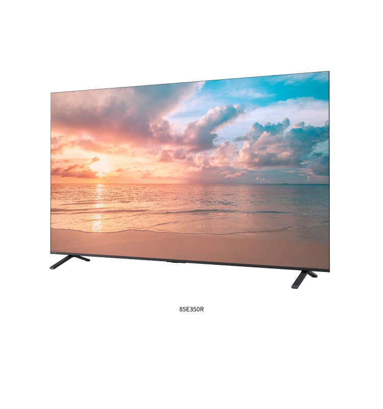 【新品未開封】25年製 REGZA 65V型 4K液晶テレビ65E350R大画面 REGZA 65E350R 65V型 4K液晶テレビ 地デジ・BS・110度CS・4K衛星放送