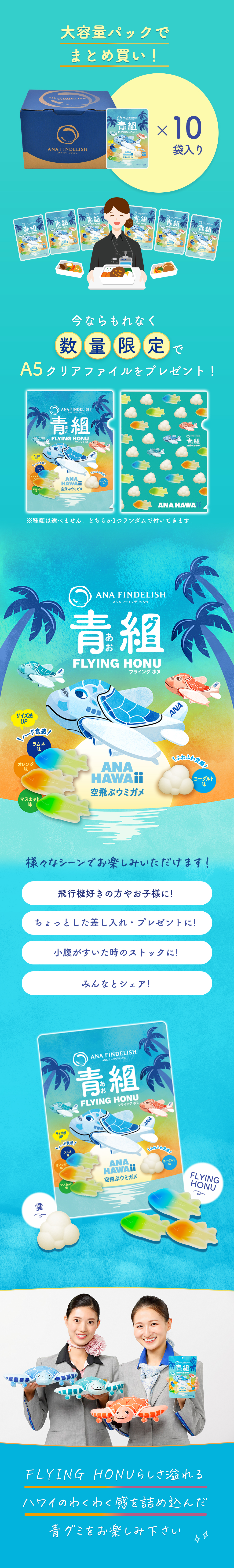 楽天市場】【ANA FINDELISH 】青組FLYING HONU-フライングホヌ- 10袋