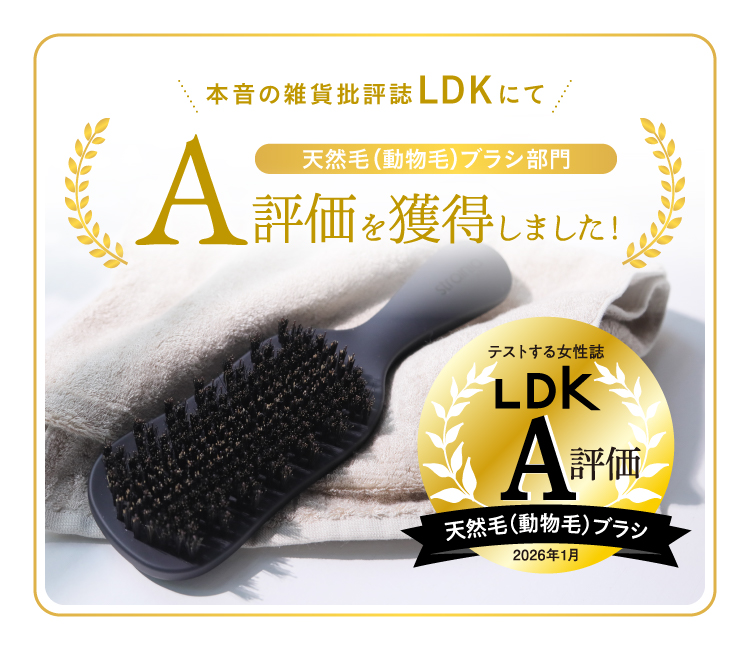 楽天市場】【公式】ケアストレートブラシ strainia ストレーニア