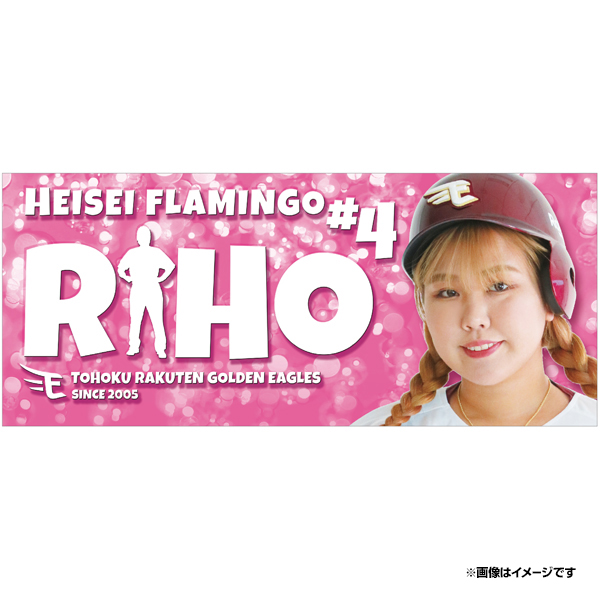 チケット情報発表】7/26(水)に平成フラミンゴさんがもう一度やってくる