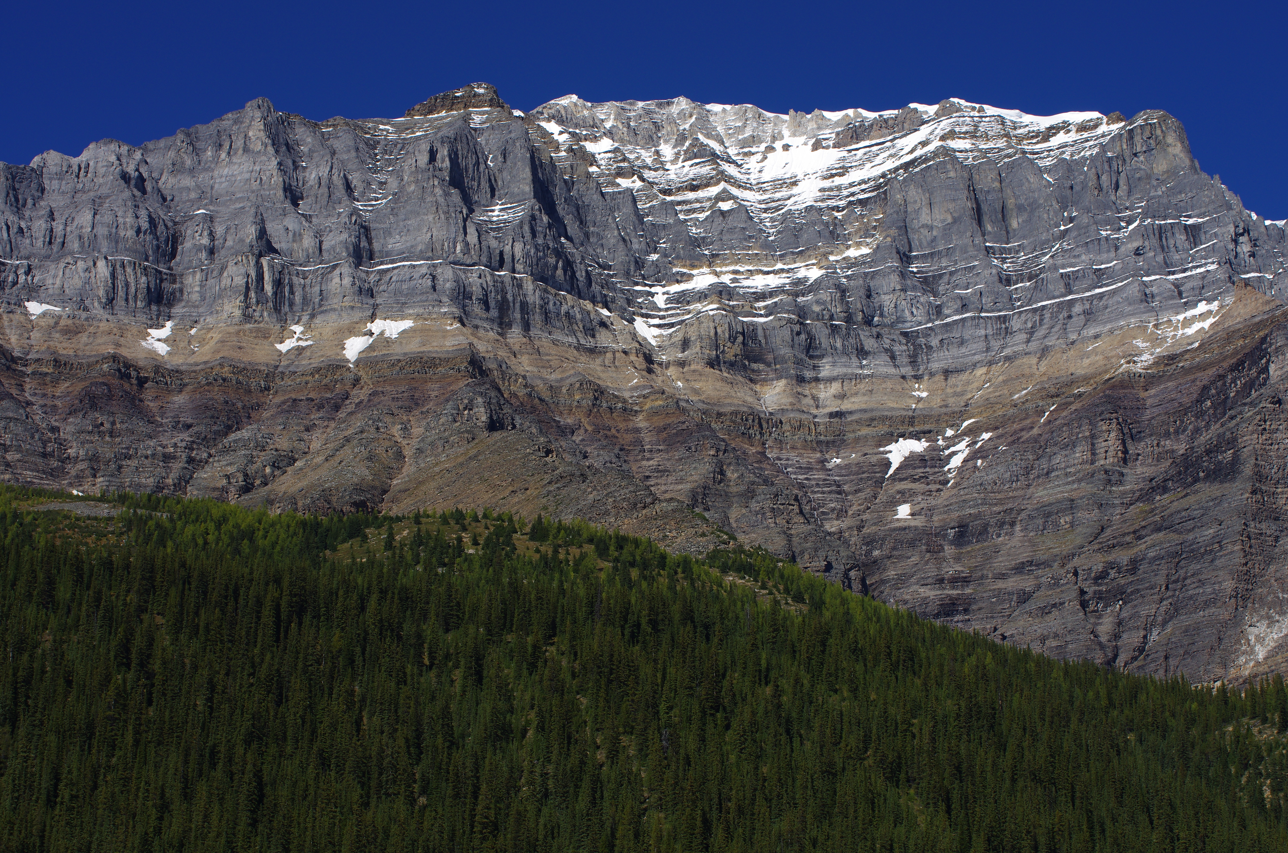 smc PENTAX-DA☆50-135mmF2.8ED[IF] SDM / 望遠レンズ / Kマウント