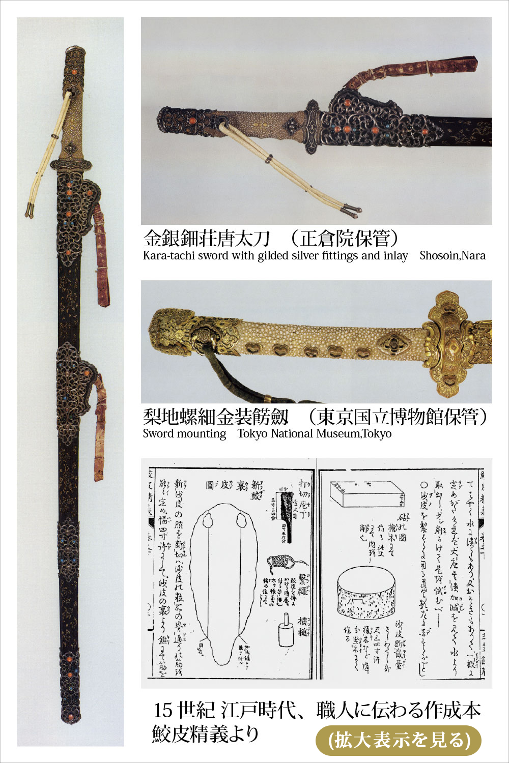 ワールドヴィジョン株式会社 鮫皮おろしについて 鮫皮おろしの歴史