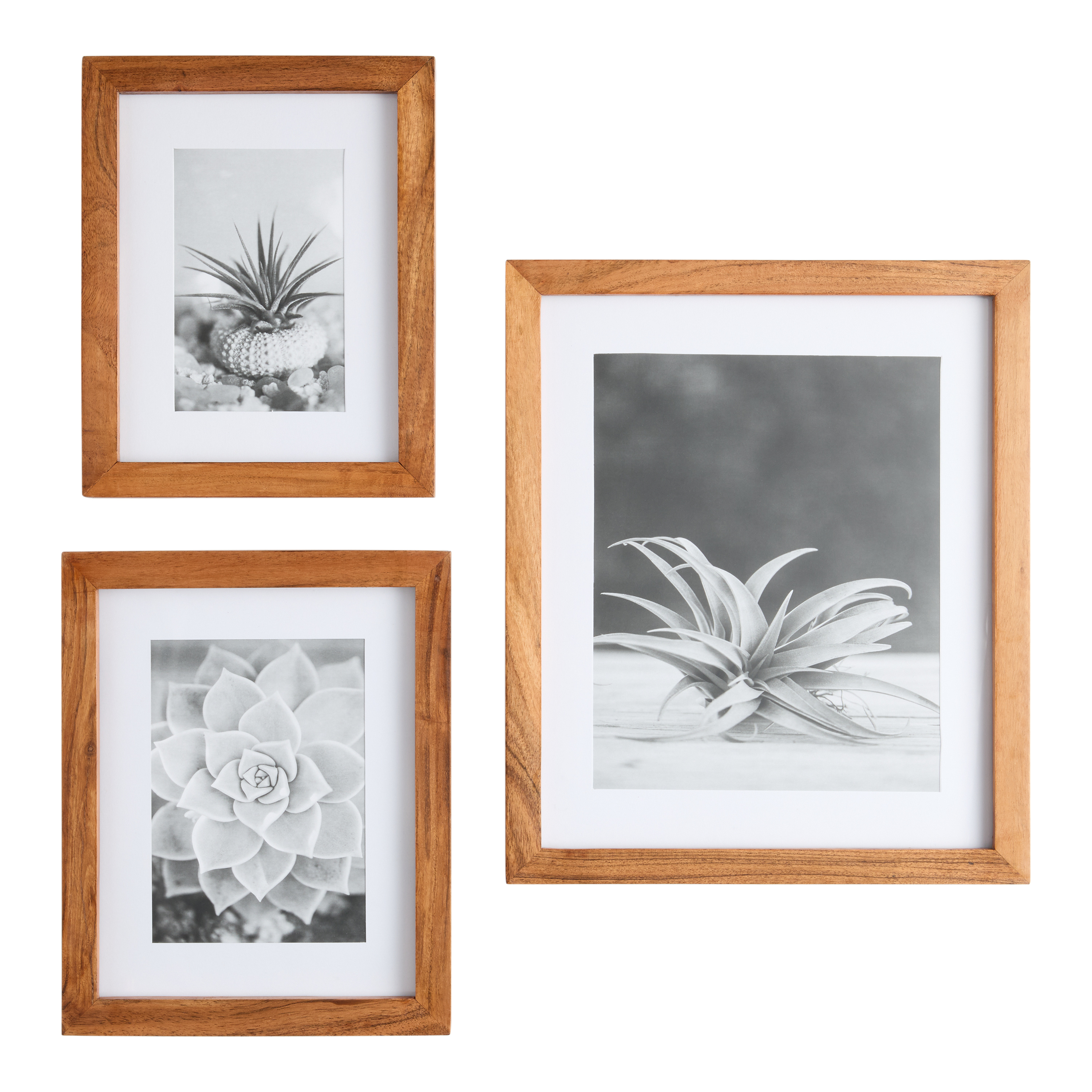 Natural Acacia Wood Wall Picture Frame - World Market