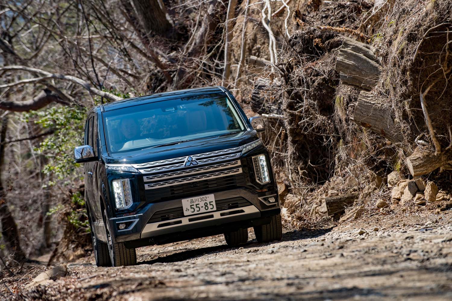 三菱デリカD：5 P（4WD/8AT）【試乗記】 常連さん いらっしゃい - webCG