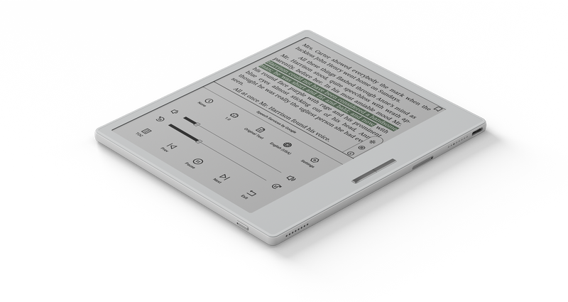 Boox Go Color 7 | Wellbots | Free Shipping