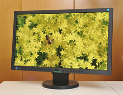 スタパ驚き!! これがホントにヨンキュッパ!? 「Power!」がある