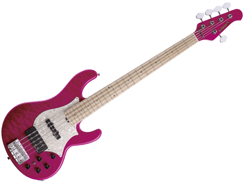 EDWARDS エドワーズ E-T-170BD( See Thru Pink)【L'Arc～en～Ciel