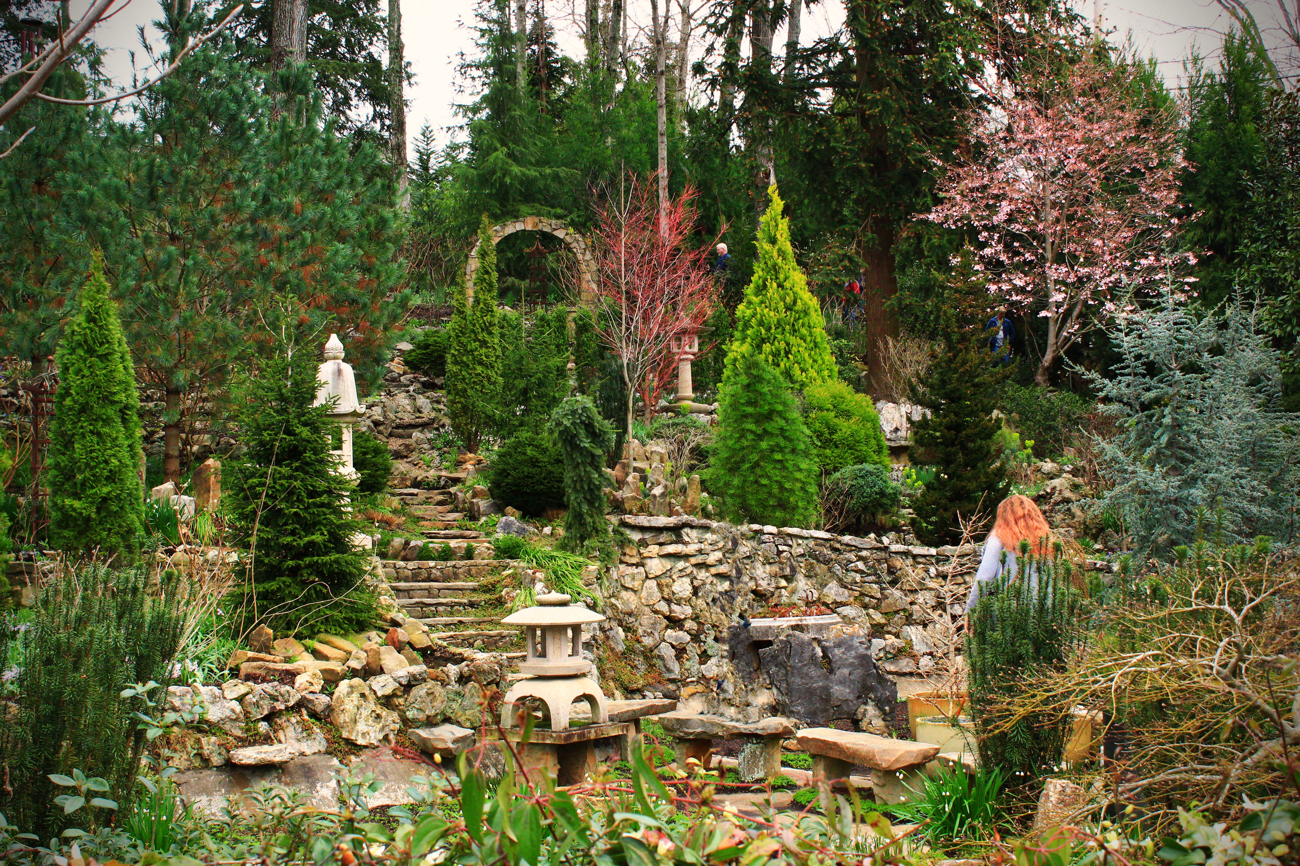 SavageGardenWinter2020_AstaPle