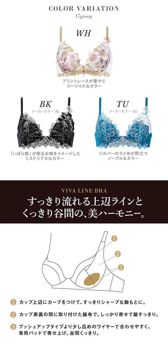 ワコール サルート 17グループ 17G VIVA LINE ブラジャー DEF
