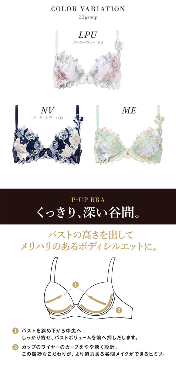 ワコール サルート 22グループ 22G P-UP ブラジャー DEF プッシュ