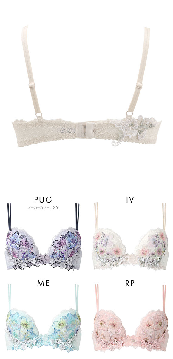 ワコール フロントエックスプラスブラ プレミアム 17series BXD717 17G