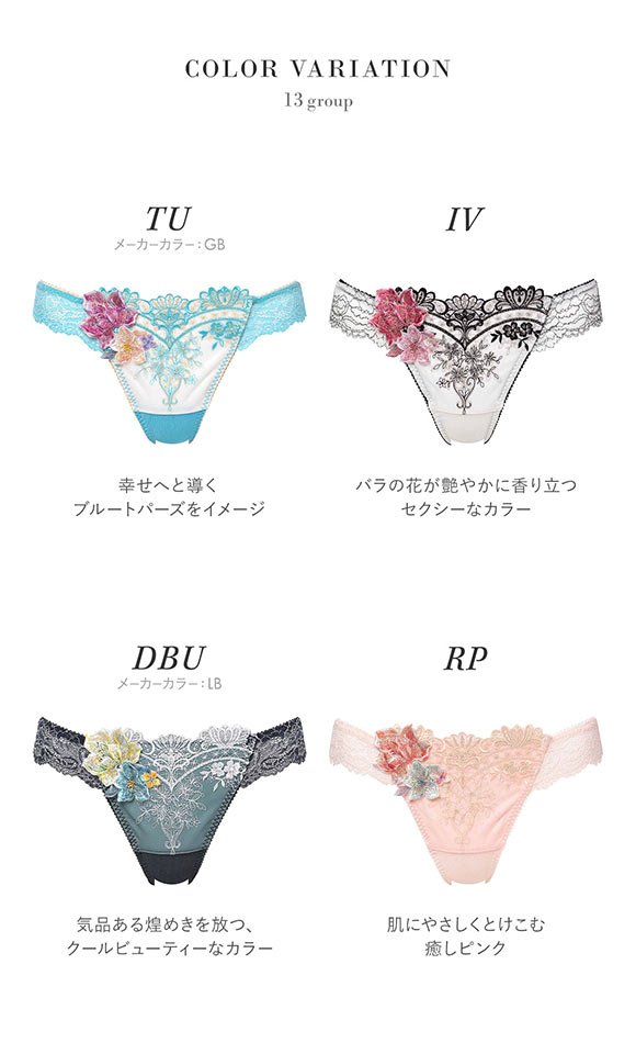 サルート フィレンツェ セットアップ M 13 G IV サルート フィレンツェ