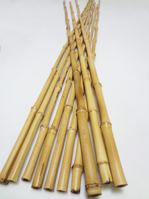 和竿製作用竹材＞布袋竹・胴・穂持ち材釣竿製作用：小節調～各種サイズ