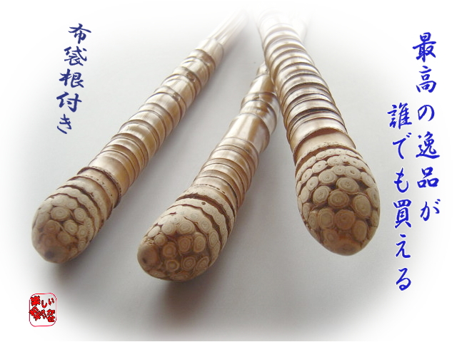 和竿製作用布袋竹の根っこ付き竹材│和竿,自作釣竿パーツ釣具のKASE