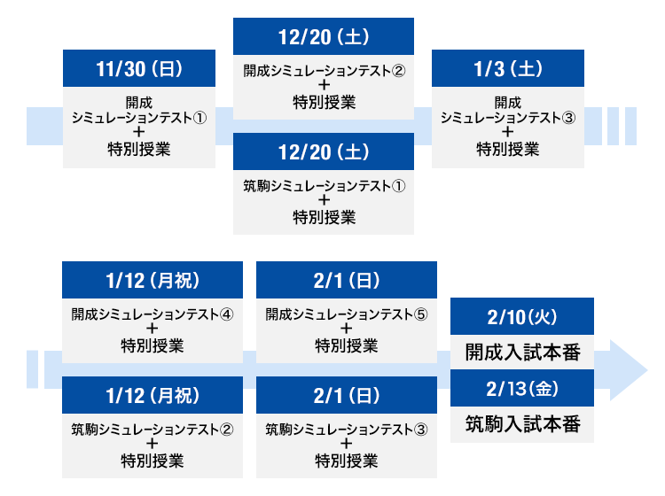 開成・筑駒入試直前トライアル 中3 | オプションコース・講座 | 高校