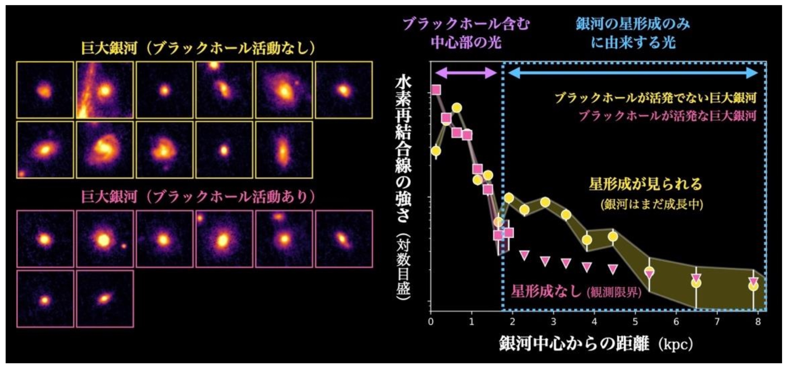 宇宙古代都市の建設ラッシュを止めるブラックホール～最新宇宙望遠鏡で