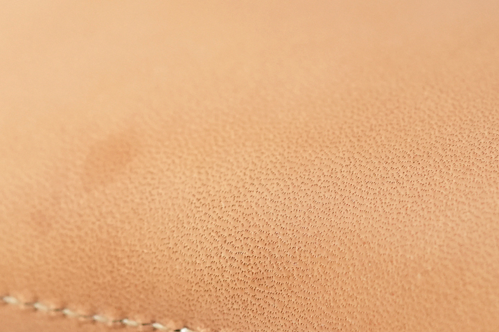 バスタン＆フィスシリーズについてのお話 3 | WILDSWANS(ワイルド