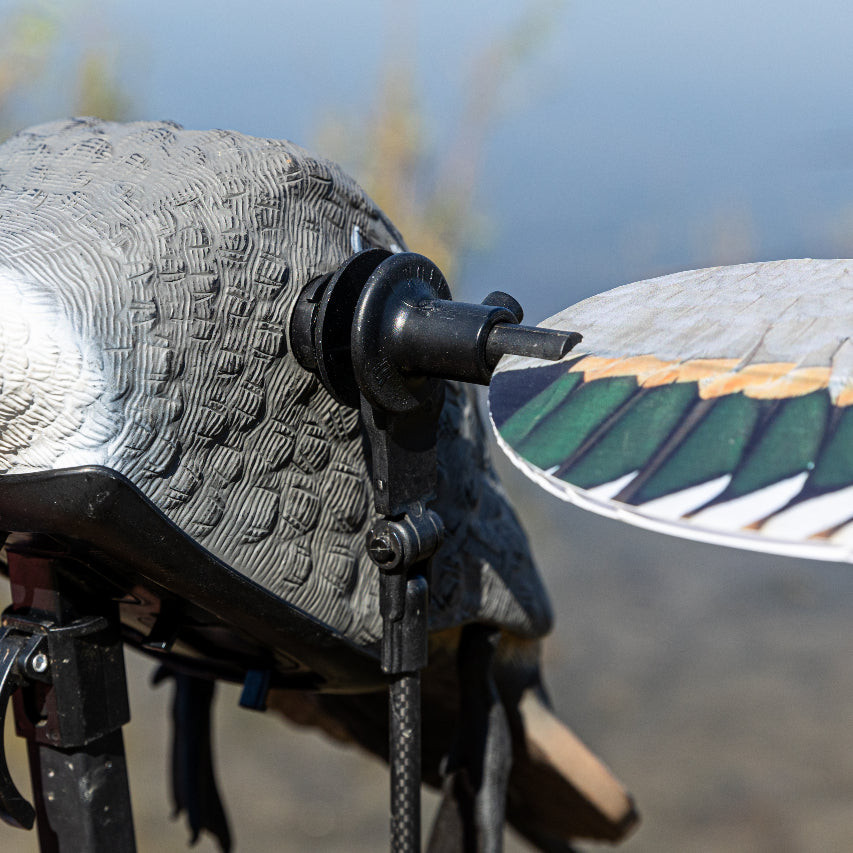 Blue Bird Waterfowl ME Animator: Mojo Elite Series (Except Teal