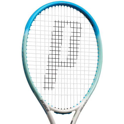 ウインザーオンラインショッププリンス ビースト 100 280g（prince