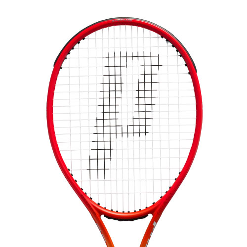 ウインザーオンラインショッププリンス ビースト O3 100 300g（prince