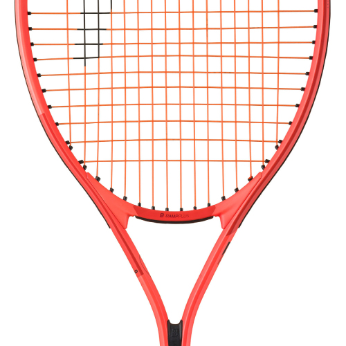 ウインザーオンラインショップ【張り上げ済み】 ヘッド ラジカル 26