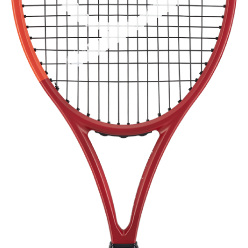 ウインザーオンラインショップダンロップ シーエックス 400 （DUNLOP