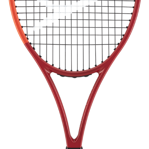 ウインザーオンラインショップダンロップ シーエックス 200 （DUNLOP