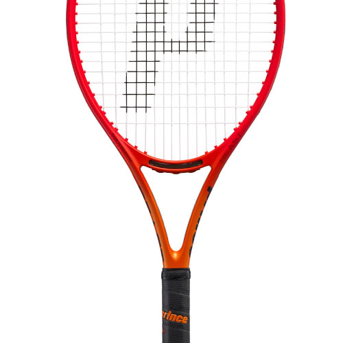 ウインザーオンラインショッププリンス ビースト DB 100 300g（prince