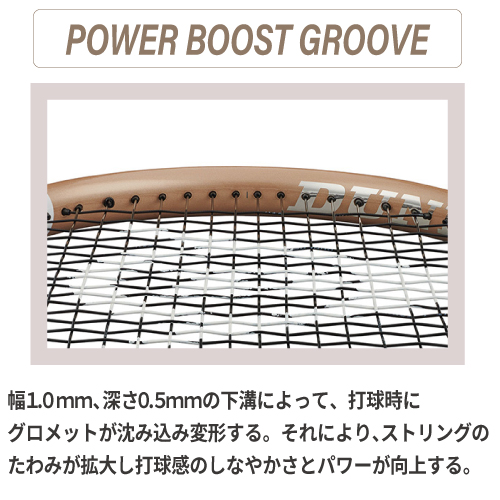 ウインザーオンラインショップダンロップ エルエックス 1000 ( DUNLOP