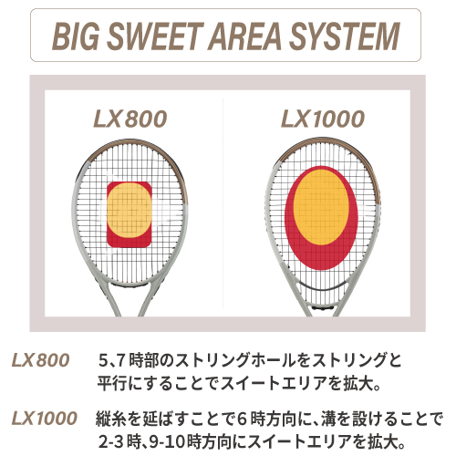 ウインザーオンラインショップダンロップ エルエックス 1000 ( DUNLOP