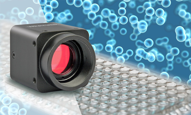 顕微鏡用高感度・高画質USB3.0デジタルカメラ｜WRAYCAM-LEO｜レイマー