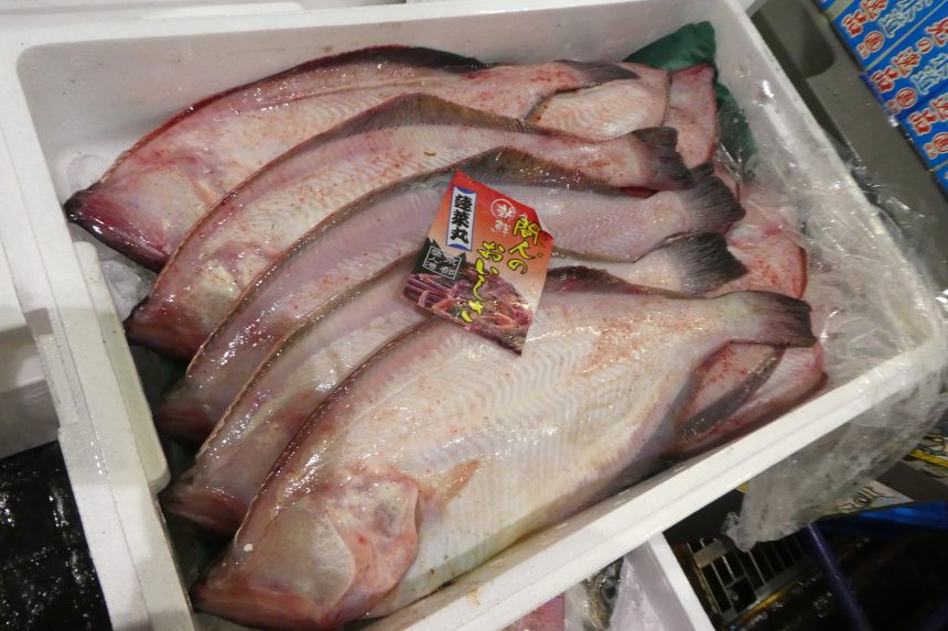 ヒカリチヒロエビ】胸脚に微小な発光器 | ザ・豊洲市場【公式】