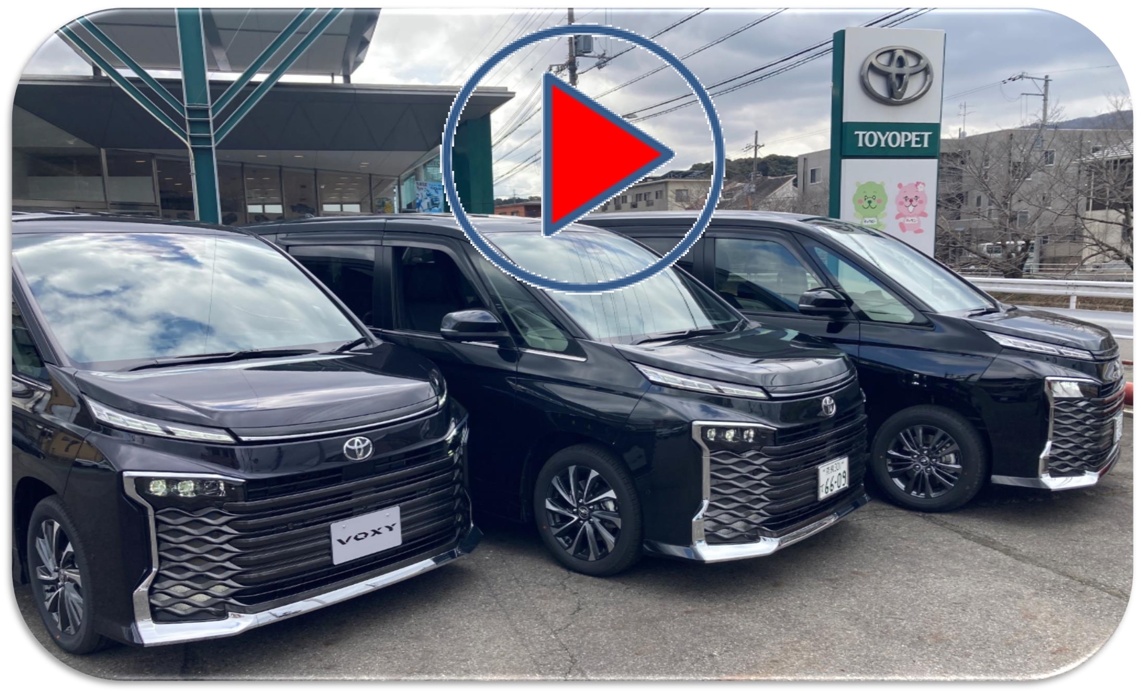 ヴォクシー悩むボディカラーを比較してみた！【トヨペット南生駒店】