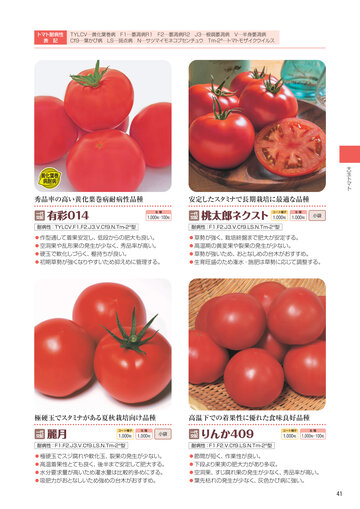 2024秋冬総合カタログ