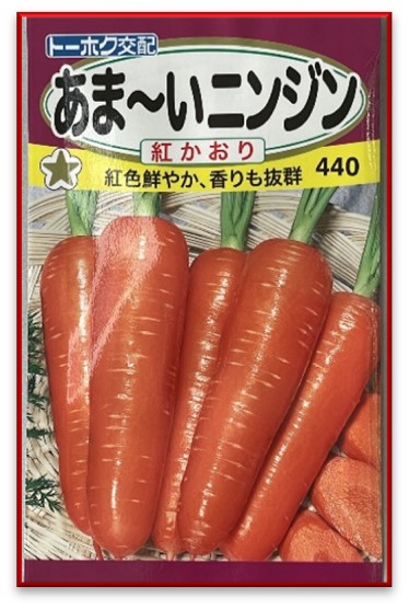 人参の夏蒔きシーズン到来！｜トヨタネブログ「クロロフィル通信