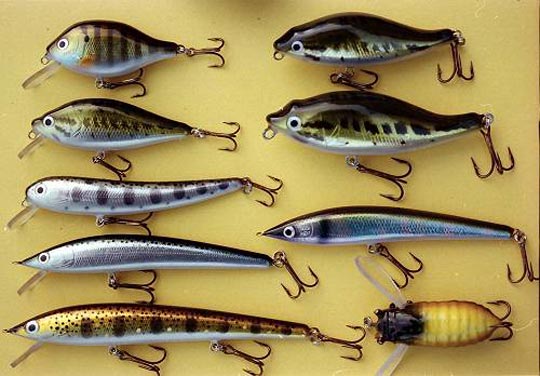 伝説のマロルアー復活です！ | JUNKFOOD ジャンクフード