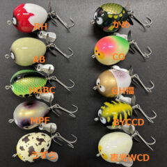 今月のZEALは初登場、アマゾンサウザー! | JUNKFOOD ジャンクフード