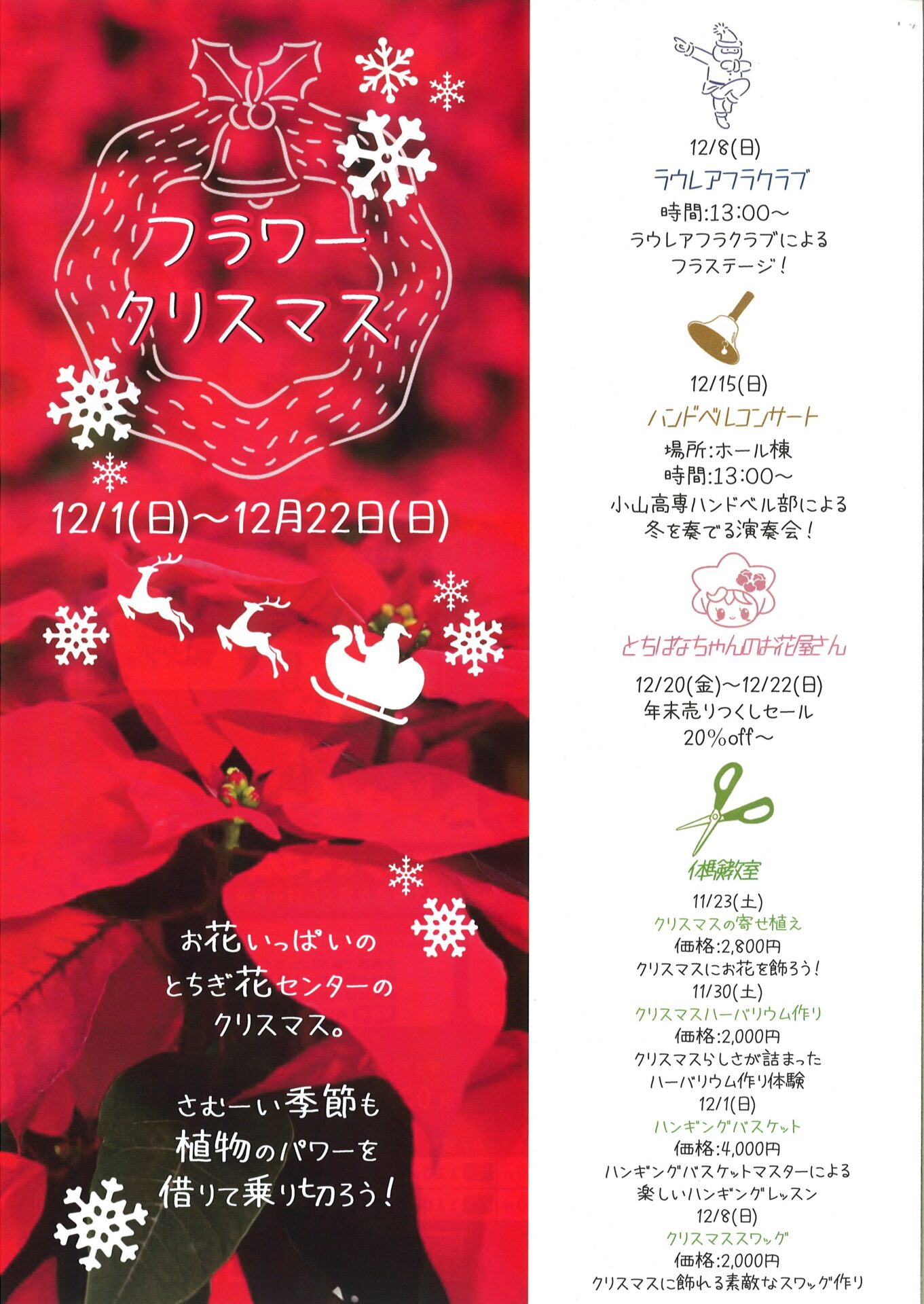 とちぎ花センター企画展ポインセチア展】開催のお知らせ – 栃木市観光協会