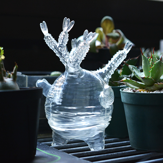 ソフビ製グラキリスちゃん (Clear) | 多肉植物・特別な鉢の販売